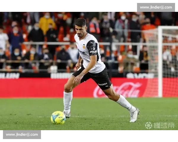 皮奇尼：伤病与网暴下的重生